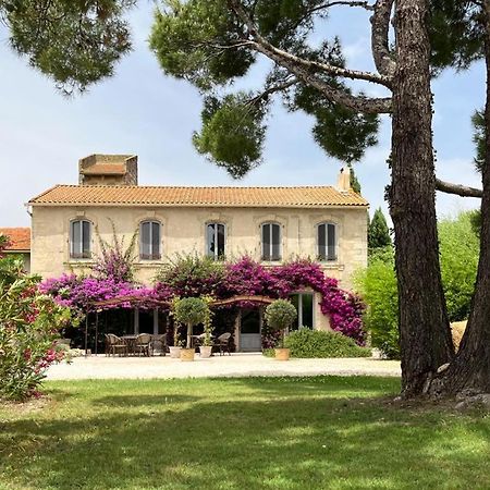 Maison Tara verte au Mas Montredon Arles Extérieur photo