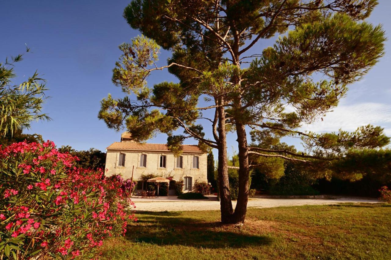 Maison Tara verte au Mas Montredon Arles Extérieur photo