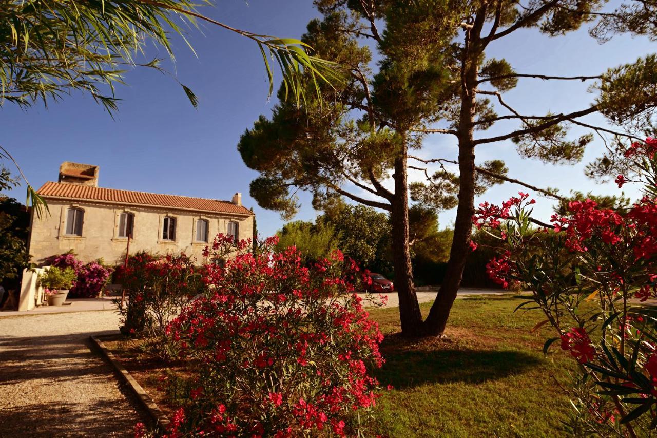 Maison Tara verte au Mas Montredon Arles Extérieur photo